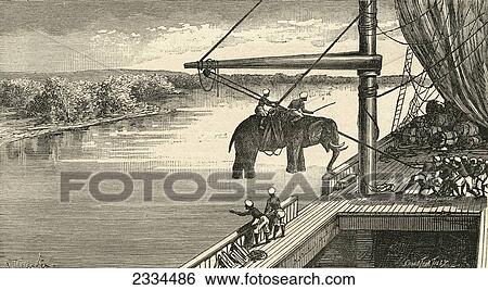 Stock Photograph - Transportation Of Elephants From India To Africa, Where They Were Used To Carry Supplies In The Exploration Expeditions Of The 19Th Century. From El Museo Popular Published 1889.. Fotosearch