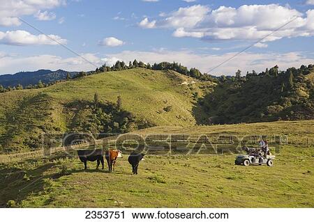 Stock Image - Travelers Explore The Grounds Of The Blue Duck Lodge On A Buggy Tour, Whanganui National Park; Whakahoro, New Zealand. Fotosearch