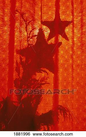 Stock Photograph - Tree And Star Shadows On Red Curtains. Fotosearch
