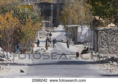 Stock Image - Tree-Lined Road, Ghwari, Northern Areas, Pakistan. Fotosearch