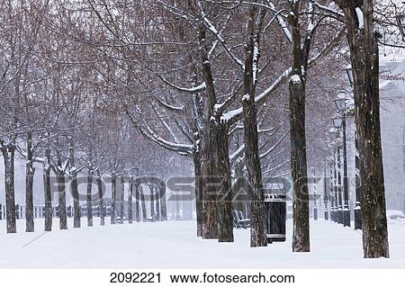 Stock Image - Tree-Lined Street In Snowy Old Montreal; Montreal Quebec Canada. Fotosearch