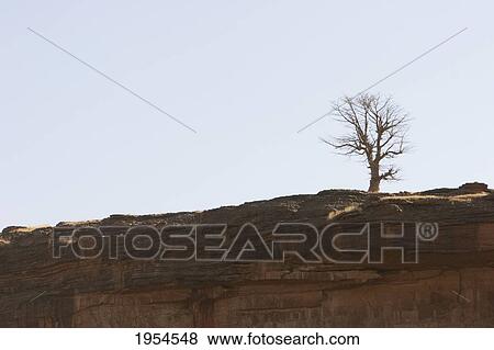 Tree on the top of the Bandiagara Escarpment near Bongo, Mali View Large Photo Image Stock Photo - Tree on the top of the Bandiagara Escarpment near Bongo, Mali. Fotosearch