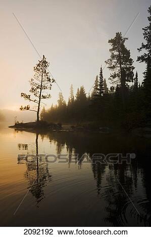 Tree Silhouettes By Rushing River; Kenora Ontario Canada View Large Photo Image Stock Image - Tree Silhouettes By Rushing River; Kenora Ontario Canada. Fotosearch