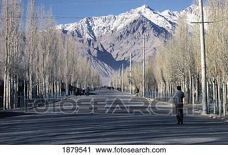 Stock Image - Treelined Road Leading To Snowcapped Mountains. Fotosearch