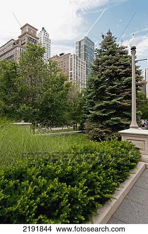 Trees And Landscaping Along A Path With Skyscrapers In The Background; Chicago Illinois United States Of America View Large Photo Image Picture - Trees And Landscaping Along A Path With Skyscrapers In The Background; Chicago Illinois United States Of America. Fotosearch
