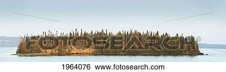 Trees Covering An Island On Lake Superior At Sunset; Thunder Bay, Ontario, Canada View Large Photo Image Stock Photograph - Trees Covering An Island On Lake Superior At Sunset; Thunder Bay, Ontario, Canada. Fotosearch