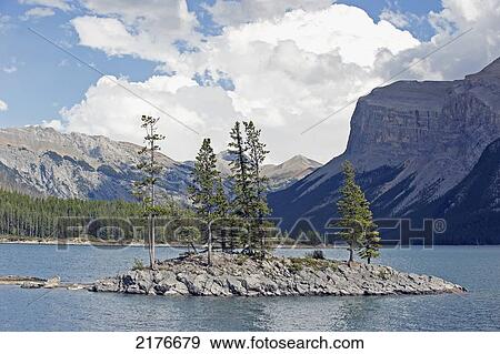 Stock Photo - Trees Growing On A Small Rock Island In A Mountain Lake; Banff Alberta Canada. Fotosearch