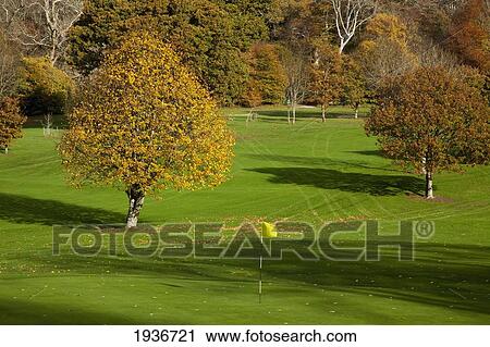 Stock Image - Trees On A Golf Course; Kenmare County Kerry Ireland. Fotosearch