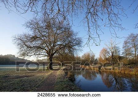 Stock Photography - Trees on the Itchen River navigation canal on a misty morning on the water meadows; Winchester, Hampshire, England. Fotosearch