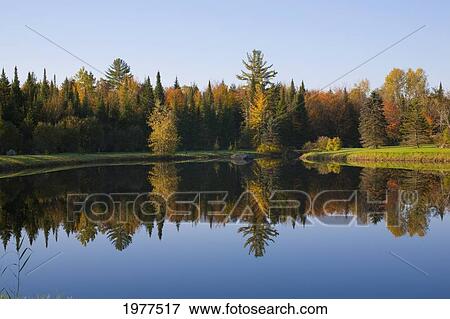 Stock Photo - Trees Reflected In A Tranquil Pond In The Morning; Bondville Quebec Canada. Fotosearch