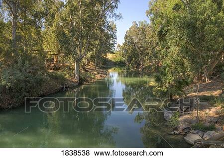 Trees Reflecting In River View Large Photo Image Stock Photo - Trees Reflecting In River. Fotosearch