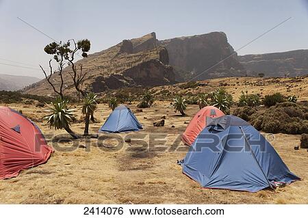 Trekking campsite, Chennak, Simien Mountains National Park; Amhara region, Ethiopia View Large Photo Image Stock Photograph - Trekking campsite, Chennak, Simien Mountains National Park; Amhara region, Ethiopia. Fotosearch