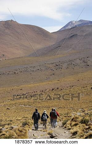 Trekking In The Andes View Large Photo Image Stock Photo - Trekking In The Andes. Fotosearch