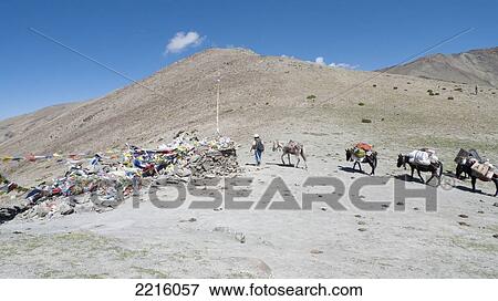 Stock Photo - Trekking Over The Ganda La Pass (4900 M) In The Zanskar Range In Ladhak, India. Fotosearch