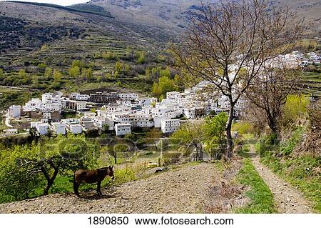 Stock Image - Trevelez Town In Sierra Nevada Mountains. Fotosearch