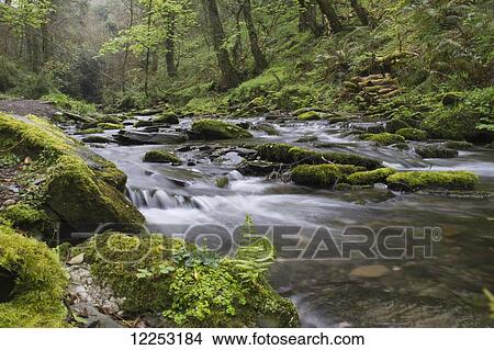 Trevillet river; Cornwall, England View Large Photo Image Picture - Trevillet river; Cornwall, England. Fotosearch