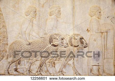 Tributes to the king, bas relief carvings on Eastern Apadana Staircase; Persepolis, Iran View Large Photo Image Stock Image - Tributes to the king, bas relief carvings on Eastern Apadana Staircase; Persepolis, Iran. Fotosearch