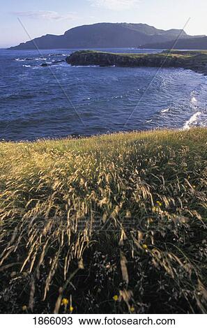 Stock Image - Trinity Bay, Champney's West, Newfoundland, Canada. Fotosearch