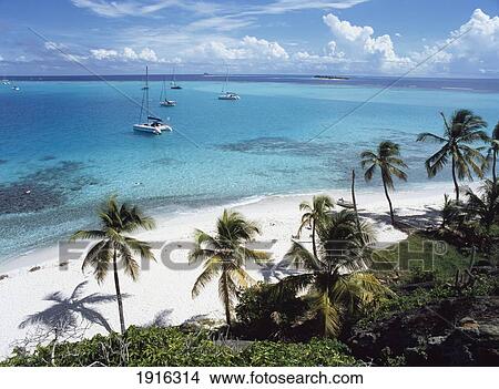 Tropical Beach View Large Photo Image Picture - Tropical Beach. Fotosearch