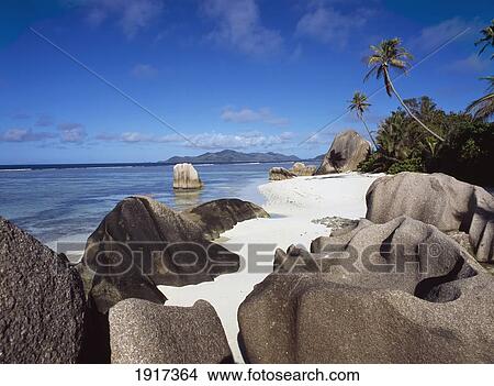 Picture - Tropical Beach. Fotosearch