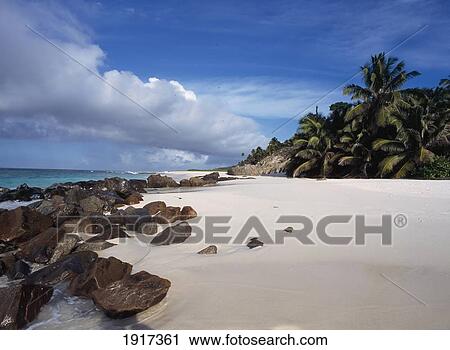 Stock Image - Tropical Beach. Fotosearch