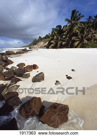 Tropical Beach View Large Photo Image Stock Image - Tropical Beach. Fotosearch