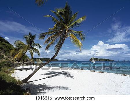 Tropical Beach View Large Photo Image Stock Photography - Tropical Beach. Fotosearch