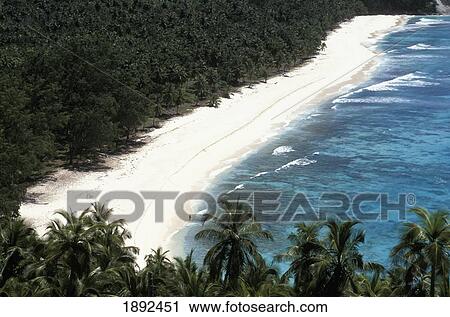 Tropical Beach With Palm Trees View Large Photo Image Stock Image - Tropical Beach With Palm Trees. Fotosearch
