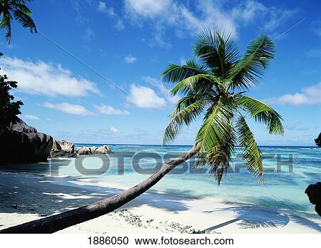 Tropical Beach With Rocks View Large Photo Image Stock Image - Tropical Beach With Rocks. Fotosearch