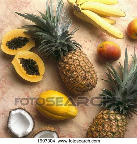 Tropical Fruits Pineapple, Banana, Coconut, Mango Papaya, Studio Shot A38B View Large Photo Image Picture - Tropical Fruits Pineapple, Banana, Coconut, Mango Papaya, Studio Shot A38B. Fotosearch