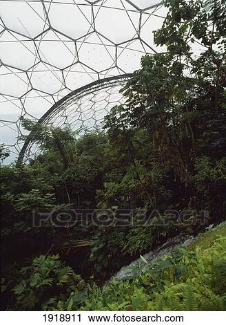 Stock Image - Tropical House Of The Eden Project. Fotosearch