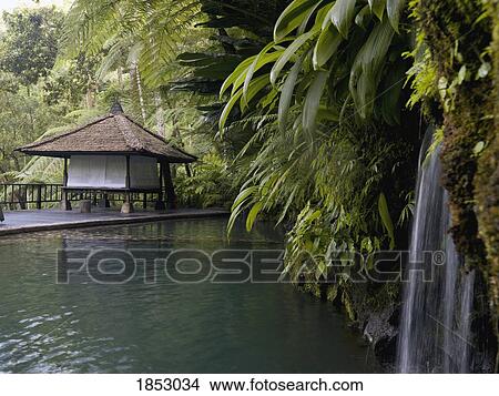 Picture - Tropical Hut In Lagoon, Bali. Fotosearch