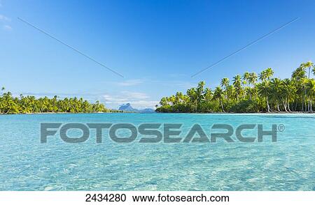 Stock Image - Tropical reef in the coral gardens with Bora Bora in the background; French Polynesia. Fotosearch