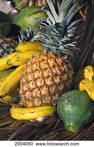 Stock Image - Tropical Ripe Fruit, Whole Papaya Pineapple Banana Home-Grown Agriculture. Fotosearch