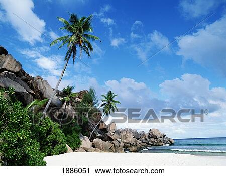 Stock Image - Tropical White Sand Beach. Fotosearch