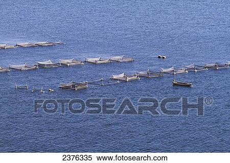 Stock Photography - Trout hatcheries in Titicaca Lake, Puno, Peru. Fotosearch