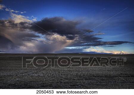 Truck Tracks Leading Into The Horizon On A Harvested Canola Field, Rural Alberta View Large Photo Image Stock Image - Truck Tracks Leading Into The Horizon On A Harvested Canola Field, Rural Alberta. Fotosearch