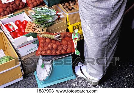 Tsukiji Market View Large Photo Image Stock Image - Tsukiji Market. Fotosearch