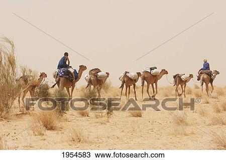 Tuareg camel caravan near Timbuktu, Mali View Large Photo Image Stock Image - Tuareg camel caravan near Timbuktu, Mali. Fotosearch