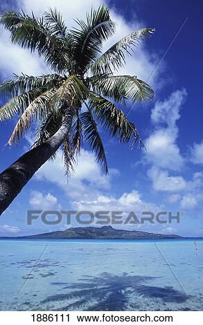 Stock Image - Tubuai, Austral Archipelago. Fotosearch