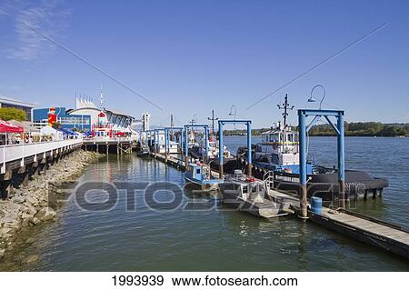 Stock Photo - Tug Boat Dock On The Fraser River, New Westminster, British Columbia, Canada. Fotosearch