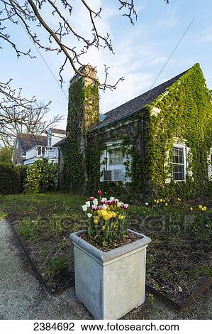 Stock Image - Tulips in front of cabin at Boerner Botanical Garden; Whitnall Park, Wisconsin, United States of America. Fotosearch