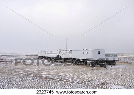 Tundra buggies and trailers around Hudson Bay; Canada View Large Photo Image Stock Photography - Tundra buggies and trailers around Hudson Bay; Canada. Fotosearch