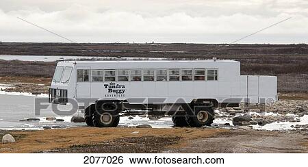 Stock Photograph - Tundra Buggy Full Of Tourists; Churchill Manitoba Canada. Fotosearch
