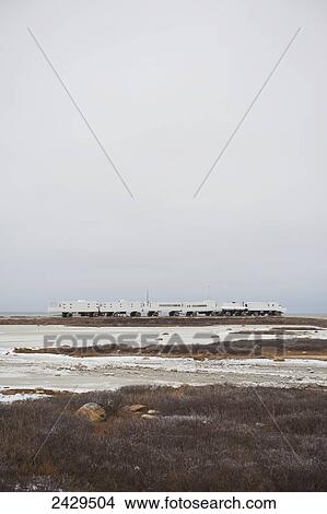 Picture - Tundra buggy vehicles parked in a row; Churchill, Manitoba, Canada. Fotosearch