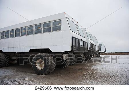 Stock Photograph - Tundra buggy vehicles parked in a row; Churchill, Manitoba, Canada. Fotosearch
