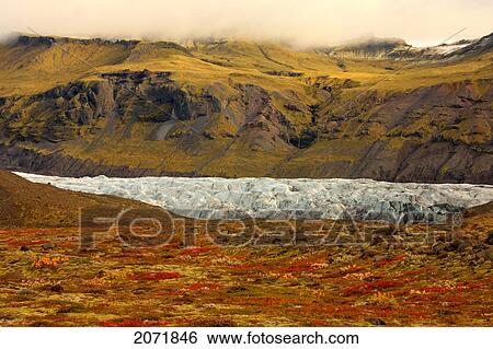 Stock Photograph - Tundra In Fall Colours With A Glacier Running Through One Of The Valleys In Skaftafell National Park, Iceland. Fotosearch