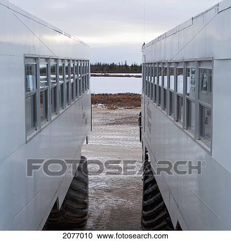 Tundra Vehicles; Churchill Manitoba Canada View Large Photo Image Stock Image - Tundra Vehicles; Churchill Manitoba Canada. Fotosearch