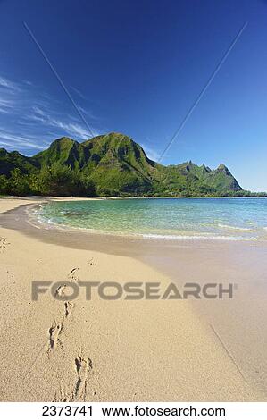 Stock Image - Tunnels Beach; Kauai, Hawaii, United States of America. Fotosearch