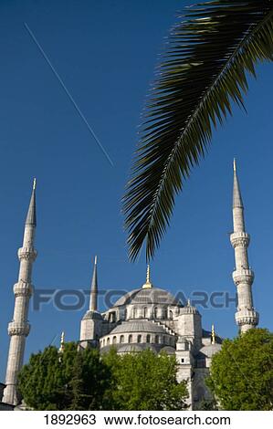 Turkey, Date palm frond in front of Sultanahmet or Blue Mosque; Istanbul View Large Photo Image Stock Image - Turkey, Date palm frond in front of Sultanahmet or Blue Mosque; Istanbul. Fotosearch